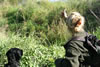 2. Puppy training day at the region of „Weinviertel“ / AUT: Image