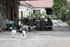 Training day at the region of „Weinviertel“ / AUT: Image