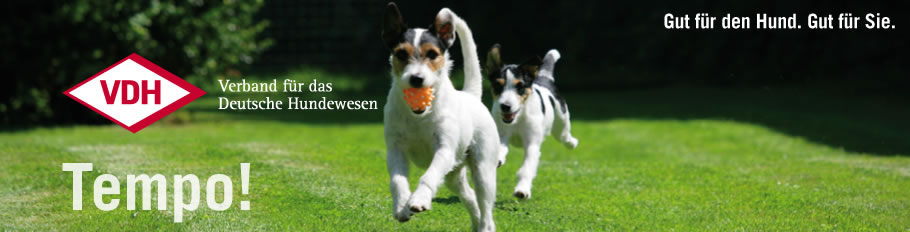 Verband für das deutsche Hundewesen